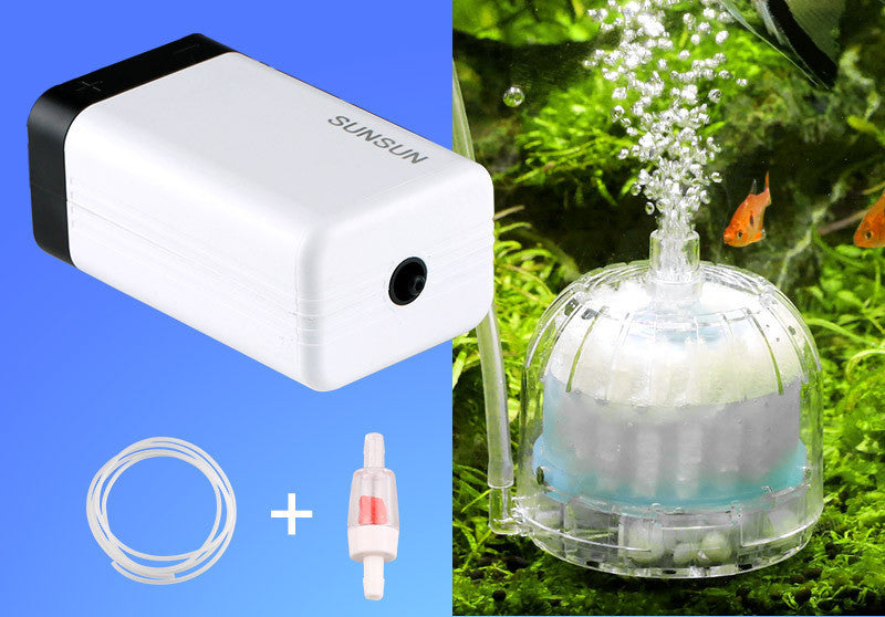 Aquarium Oxygenation Pump Aquarium Oxygenation Pump